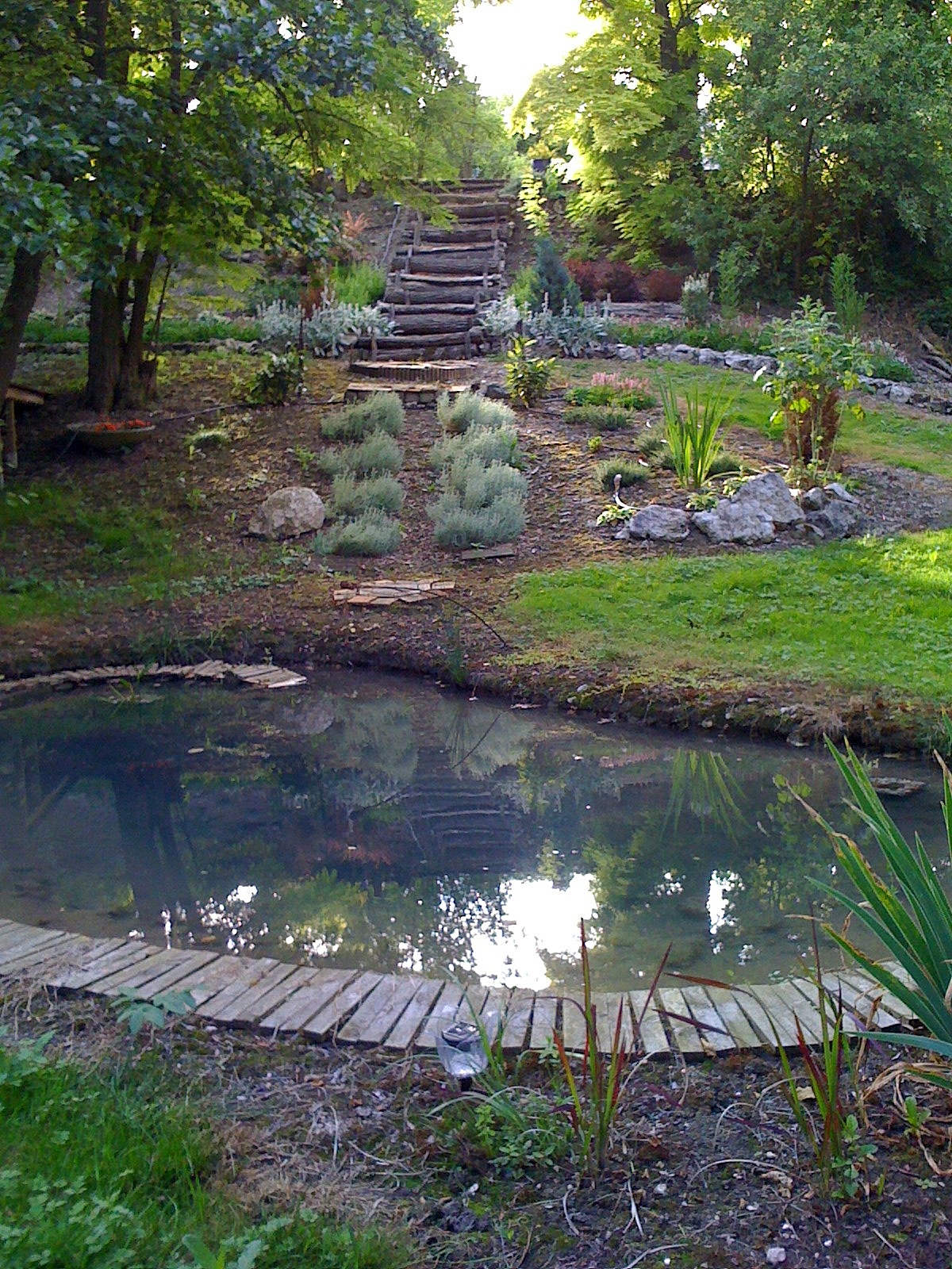 jardin et bassin avec marches au clos de guignes